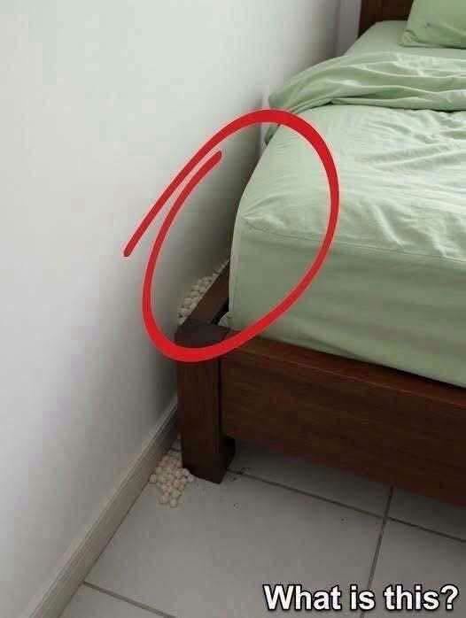 What Are These Tiny White Pellets Beside the Bed? Possible Causes and What to Check 825330029_28878699855101595_1085133915294260082_n