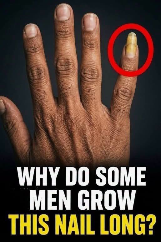 Why Do Some Men Grow One Fingernail Long? The Interesting Reasons Explained 825330051_1532566395573452_2427061406130458628_n