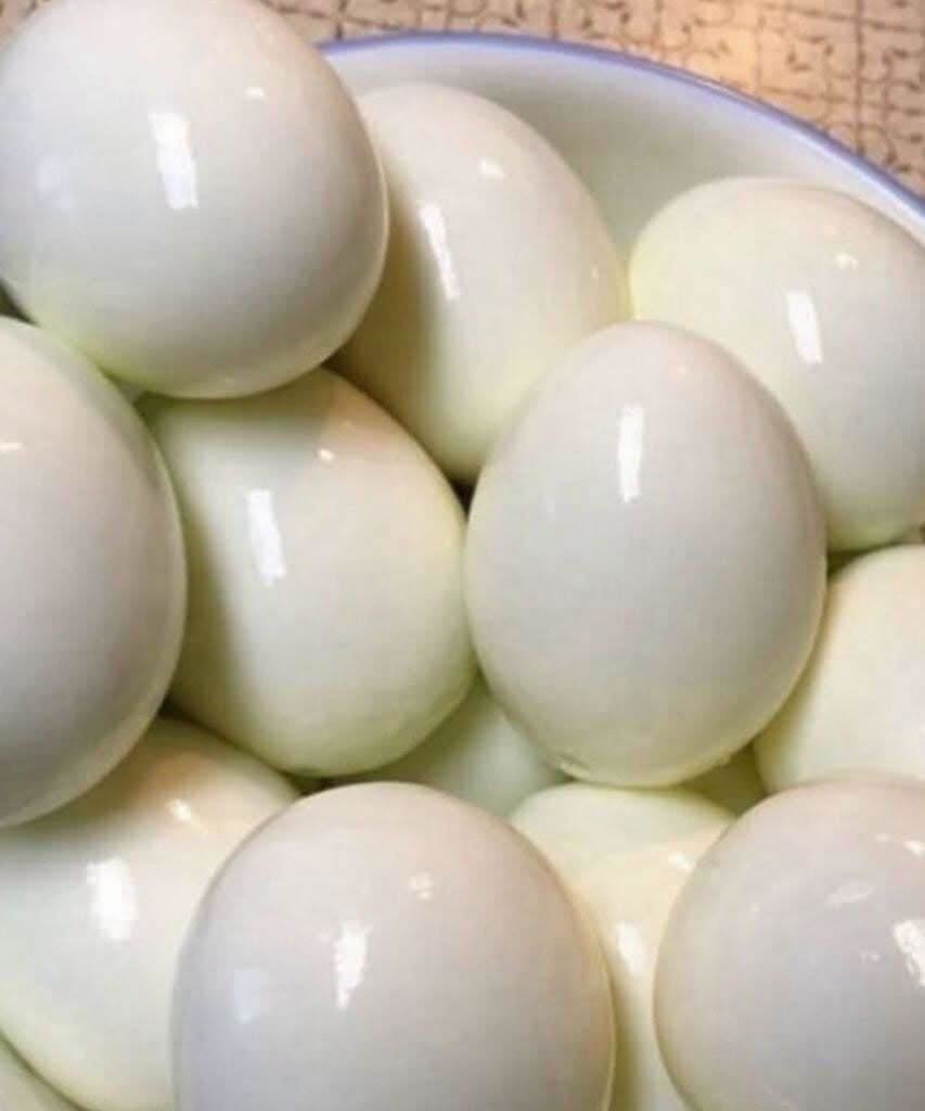 Are Boiled Eggs for Breakfast Really Bad for You? What Doctors Want You to Know 827776063_1581144987123133_8318405020813073082_n (1)