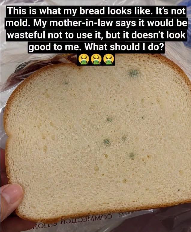 Green Spots on Bread: Is It Mold, and Is It Safe to Eat? 829651184_1535196684984980_4196110835646516750_n
