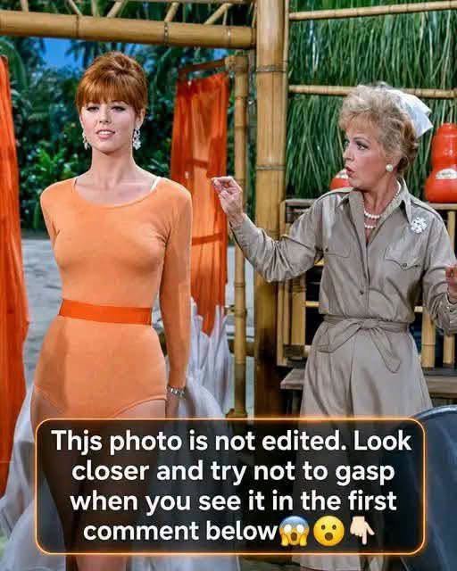 Most People Never Noticed This Detail in the Classic TV Photo! 830985381_2279996032778078_522139291776091234_n