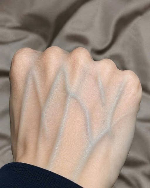 Visible Veins on Your Hands? Here’s What They Could Mean for Your Health 833978118_1851217136225212_6768818790854089212_n