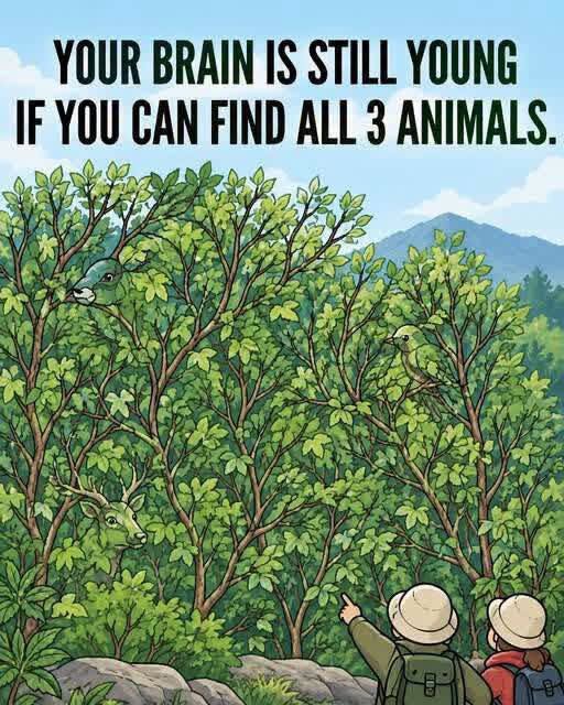Can You Find All 3 Hidden Animals in This Tricky Picture? 834602008_4364159883728113_480831379894765189_n
