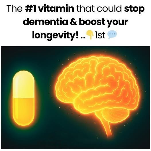 Which Vitamin Supports Brain Health? What Research Says About Dementia and Longevity image