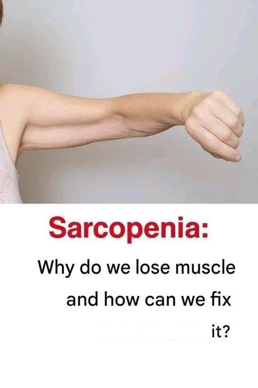 Sarcopenia: Why We Lose Muscle as We Age and How to Fight It image
