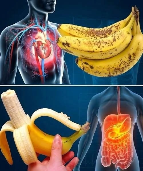 Did You Know That Eating Bananas Can Benefit Your Heart and Digestion? image